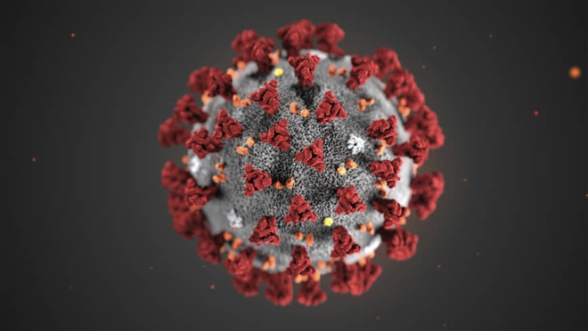 Kết quả hình ảnh cho hình ảnh virus corona